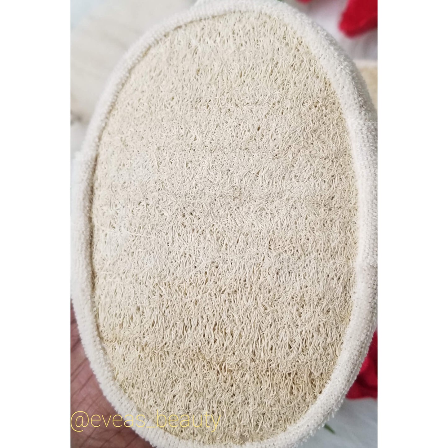 Loofah exfoliating sponge
